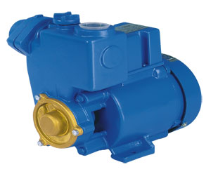 GP 系列自吸旋渦泵